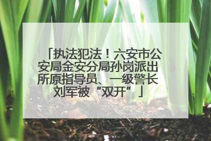执法犯法！六安市公安局金安分局孙岗派出所原指导员、一级警长刘军被“双开”