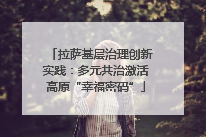 拉萨基层治理创新实践：多元共治激活高原“幸福密码”