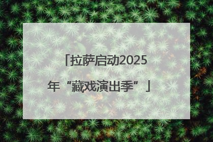 拉萨启动2025年“藏戏演出季”