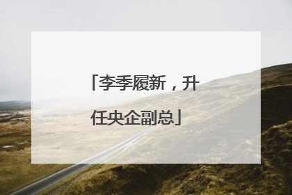 李季履新，升任央企副总