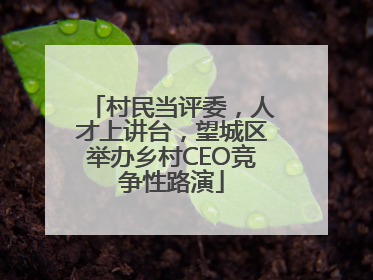 村民当评委，人才上讲台，望城区举办乡村CEO竞争性路演