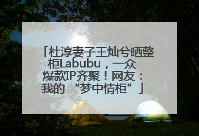 杜淳妻子王灿兮晒整柜Labubu，一众爆款IP齐聚！网友：我的 “梦中情柜”