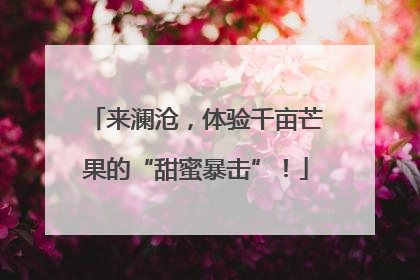 来澜沧，体验千亩芒果的“甜蜜暴击”！