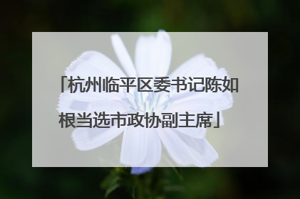 杭州临平区委书记陈如根当选市政协副主席