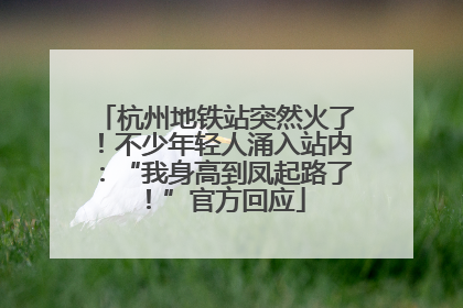 杭州地铁站突然火了！不少年轻人涌入站内：“我身高到凤起路了！”官方回应