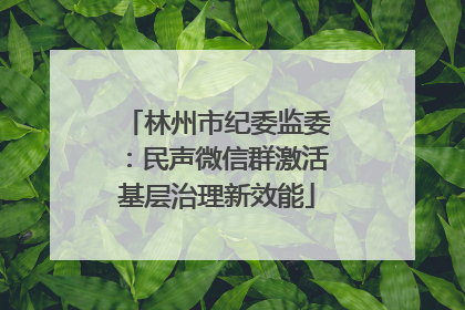 林州市纪委监委：民声微信群激活基层治理新效能