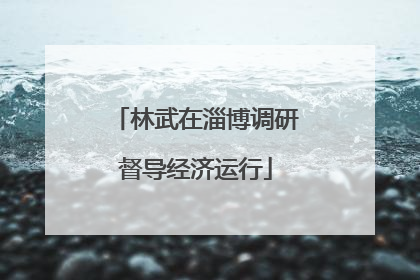 林武在淄博调研督导经济运行