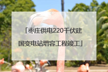 枣庄供电220千伏建国变电站增容工程竣工