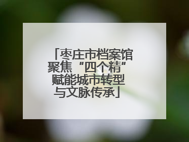 枣庄市档案馆聚焦“四个精” 赋能城市转型与文脉传承