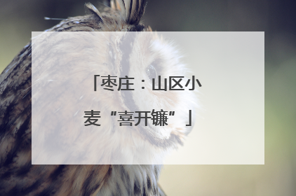 枣庄：山区小麦“喜开镰”