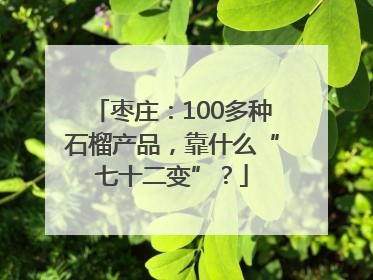 枣庄：100多种石榴产品，靠什么“七十二变”？