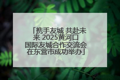 携手友城 共赴未来 2025黄河口国际友城合作交流会在东营市成功举办