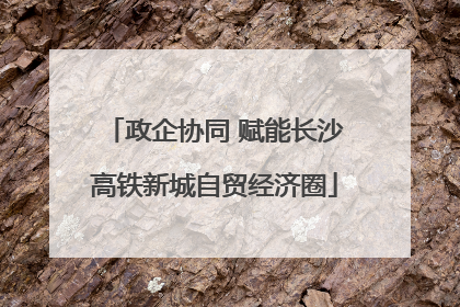 政企协同 赋能长沙高铁新城自贸经济圈