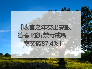 收官之年交出亮眼答卷 临沂禁毒戒断率突破87.4%