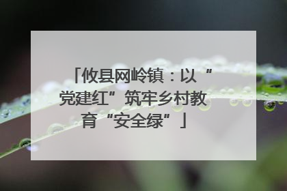 攸县网岭镇：以“党建红”筑牢乡村教育“安全绿”