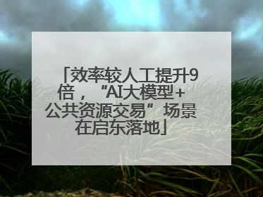 效率较人工提升9倍，“AI大模型+公共资源交易”场景在启东落地