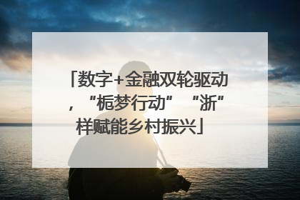 数字+金融双轮驱动，“栀梦行动”“浙”样赋能乡村振兴
