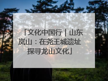 文化中国行｜山东岚山：在尧王城遗址探寻龙山文化