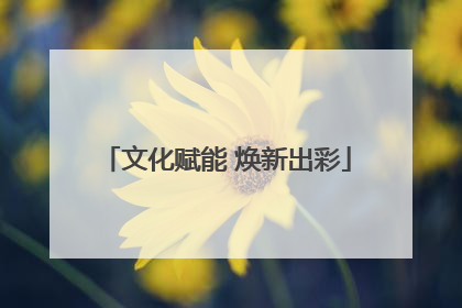 文化赋能 焕新出彩