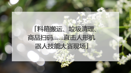 料箱搬运、垃圾清理、商品扫码……直击人形机器人技能大赛现场