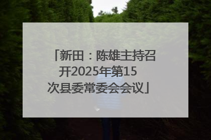 新田：陈雄主持召开2025年第15次县委常委会会议