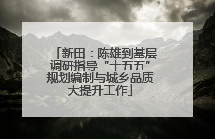 新田：陈雄到基层调研指导“十五五”规划编制与城乡品质大提升工作