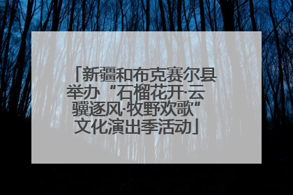 新疆和布克赛尔县举办“石榴花开·云骥逐风·牧野欢歌”文化演出季活动