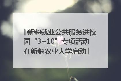 新疆就业公共服务进校园“3+10”专项活动在新疆农业大学启动