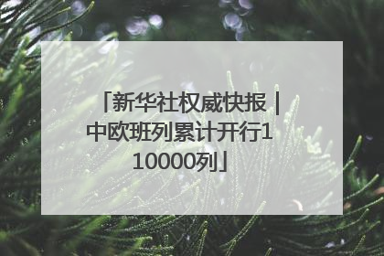 新华社权威快报｜中欧班列累计开行110000列