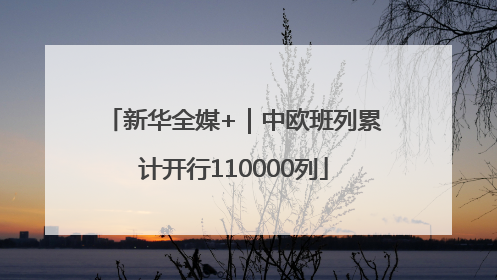 新华全媒+｜中欧班列累计开行110000列