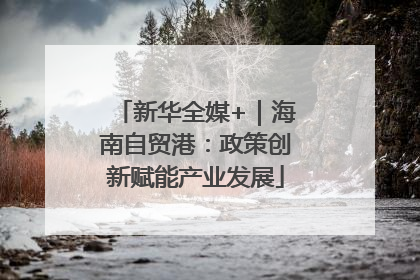 新华全媒+｜海南自贸港：政策创新赋能产业发展
