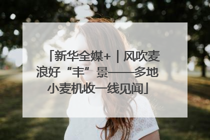 新华全媒+｜风吹麦浪好“丰”景——多地小麦机收一线见闻