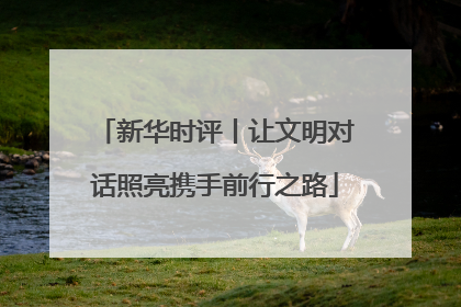 新华时评丨让文明对话照亮携手前行之路