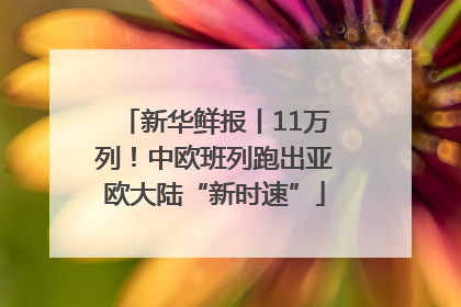 新华鲜报丨11万列！中欧班列跑出亚欧大陆“新时速”