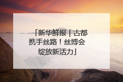 新华鲜报｜古都携手丝路！丝博会绽放新活力
