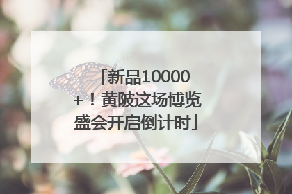 新品10000+！黄陂这场博览盛会开启倒计时
