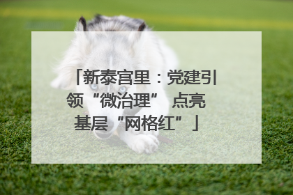 新泰宫里：党建引领“微治理” 点亮基层“网格红”