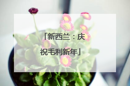 新西兰：庆祝毛利新年