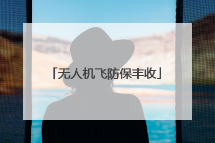 无人机飞防保丰收