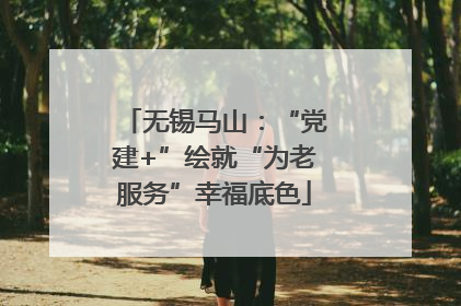 无锡马山：“党建+”绘就“为老服务”幸福底色