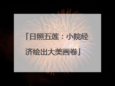 日照五莲：小院经济绘出大美画卷