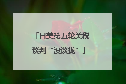 日美第五轮关税谈判“没谈拢”