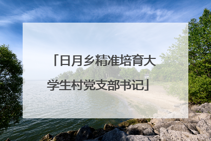 日月乡精准培育大学生村党支部书记