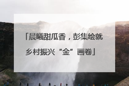 晨曦甜瓜香，彭集绘就乡村振兴“金”画卷