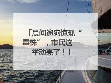 晨间遛狗惊现“毒株”，市民这一举动亮了！