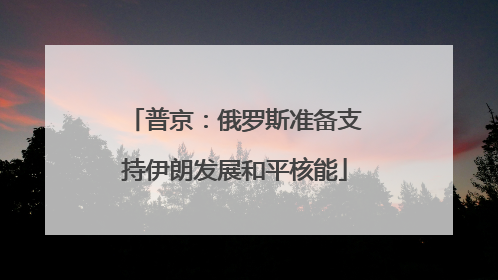 普京：俄罗斯准备支持伊朗发展和平核能