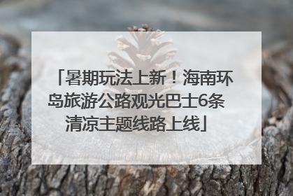 暑期玩法上新！海南环岛旅游公路观光巴士6条清凉主题线路上线