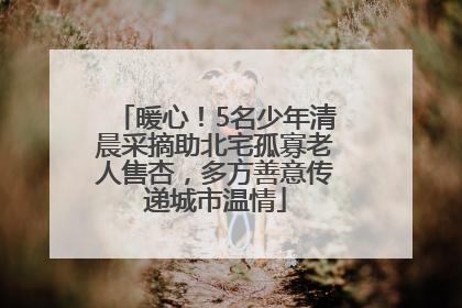 暖心！5名少年清晨采摘助北宅孤寡老人售杏，多方善意传递城市温情