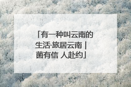 有一种叫云南的生活·旅居云南｜菌有信 人赴约
