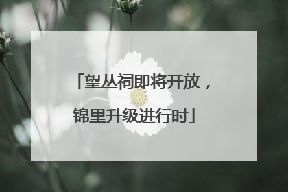 望丛祠即将开放，锦里升级进行时